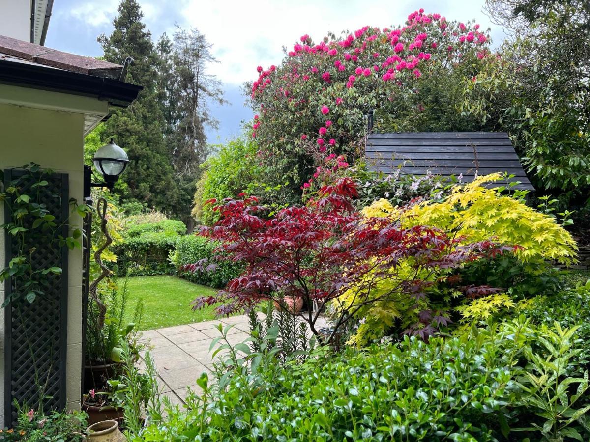 Hollyhocks Holiday Home- 2 Bedroomed Ground Floor Apartment Sleeps 5 Ivybridge Buitenkant foto