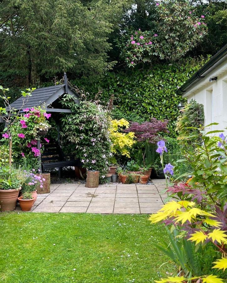 Hollyhocks Holiday Home- 2 Bedroomed Ground Floor Apartment Sleeps 5 Ivybridge Buitenkant foto